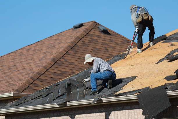 Best Roof Maintenance and Cleaning  in Charlack, MO
