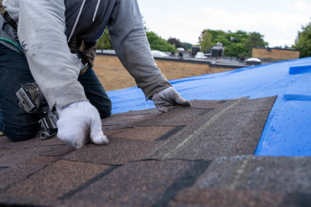 Steel Roofing in Charlack, MO